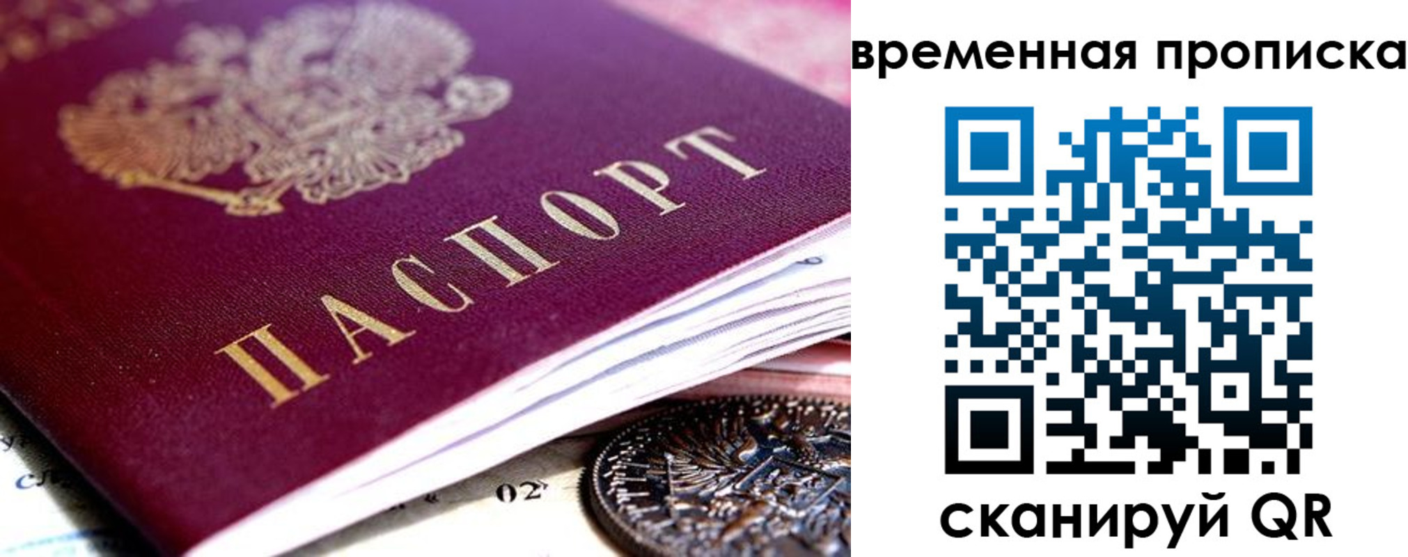 временная прописка в Ржеве